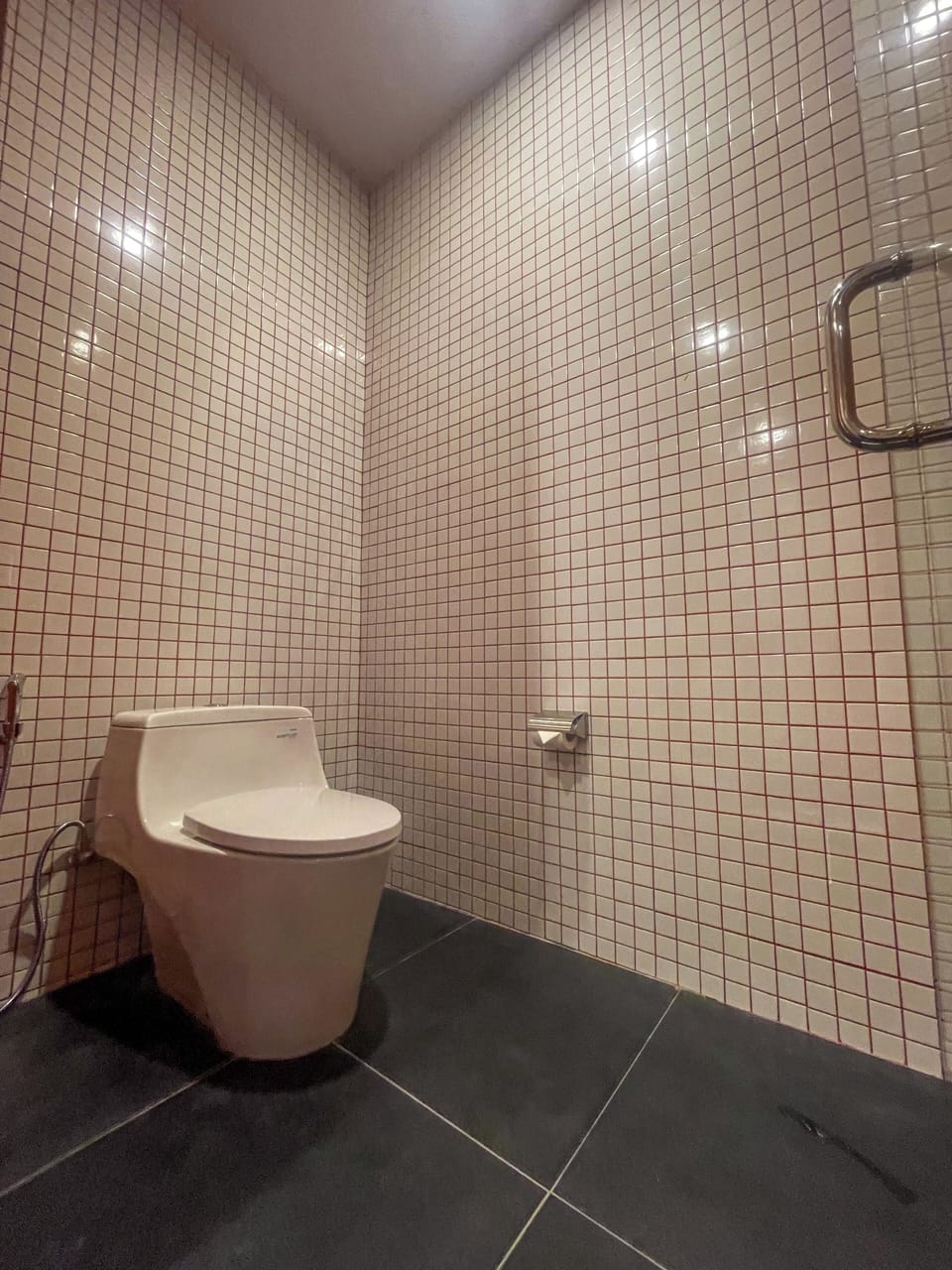 Premier Double Room | Bathroom | Shower, free toiletries, hair dryer, towels