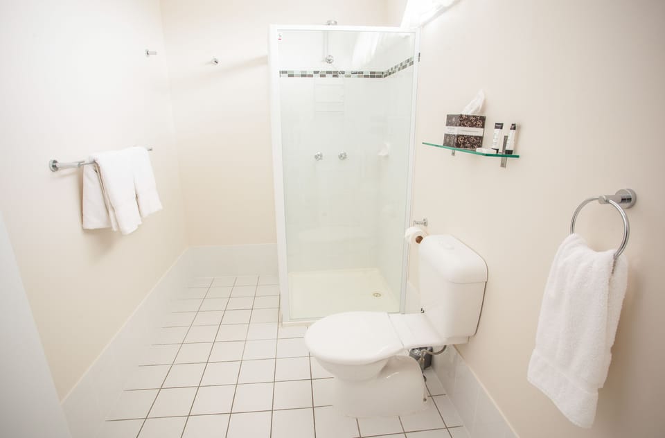 Shower, free toiletries, hair dryer, towels