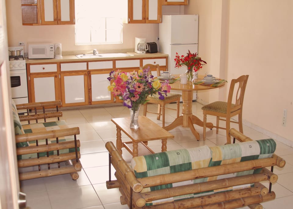 Premium Duplex, 1 Queen Bed | Living room | 30-inch TV with premium channels, pay movies