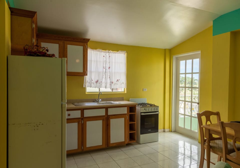 Premium Duplex, 1 Queen Bed | Private kitchenette | Full-size fridge, microwave, stovetop, cookware/dishes/utensils