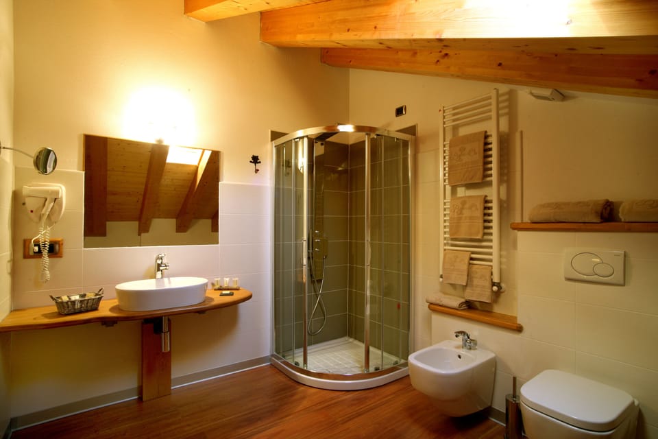 Shower, free toiletries, hair dryer, slippers