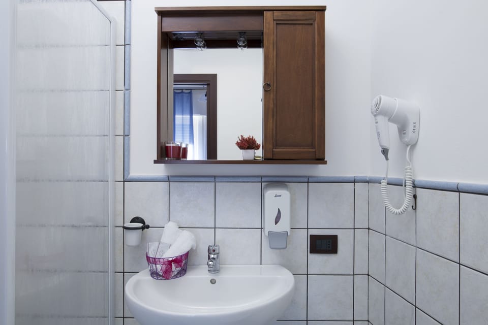 Shower, free toiletries, hair dryer, bidet