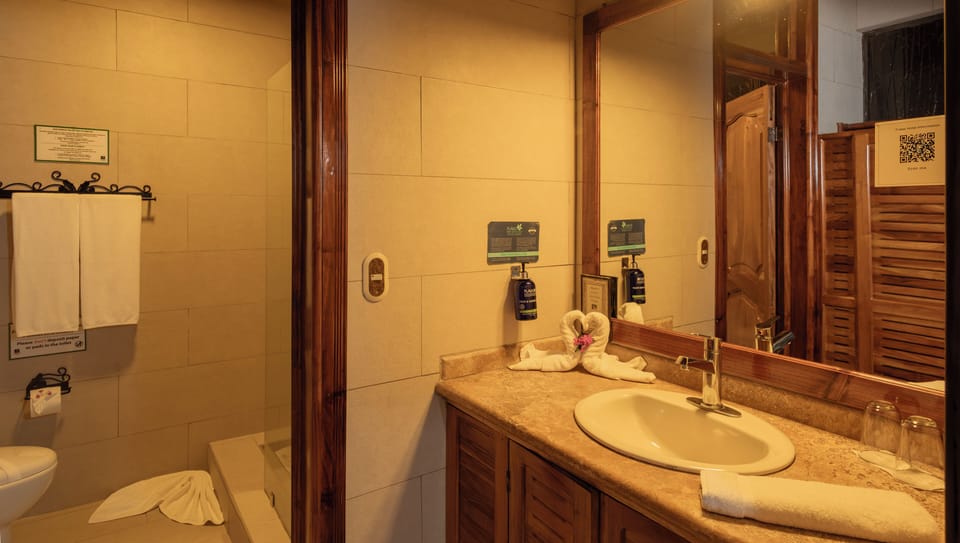 Mountain Suite, 2 Queen Beds | Bathroom | Shower, rainfall showerhead, eco-friendly toiletries, hair dryer
