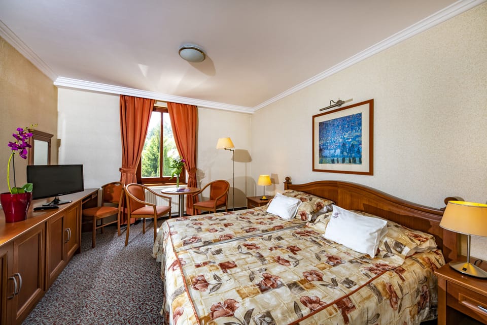 Standard Double or Twin Room | Premium bedding, minibar, in-room safe, desk