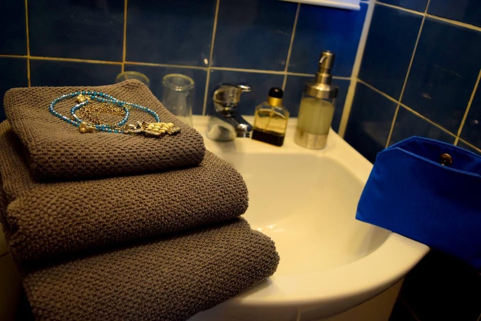 Classic Double Room | Bathroom | Shower, free toiletries, hair dryer, towels