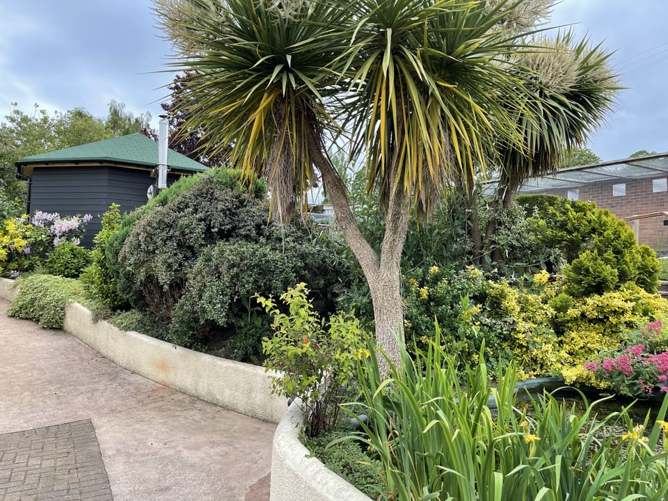garden of Rose Cottage