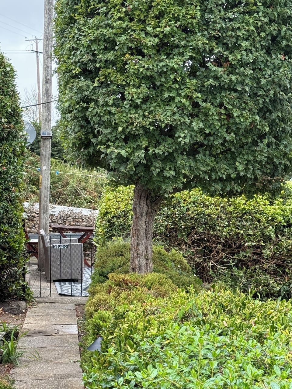 path to the Studio