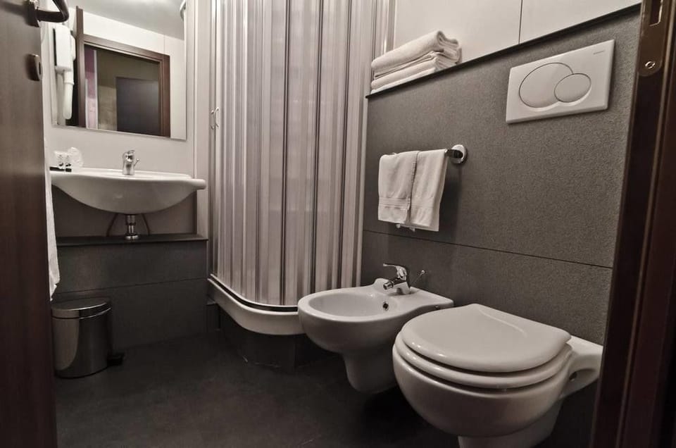 Shower, free toiletries, hair dryer, bidet