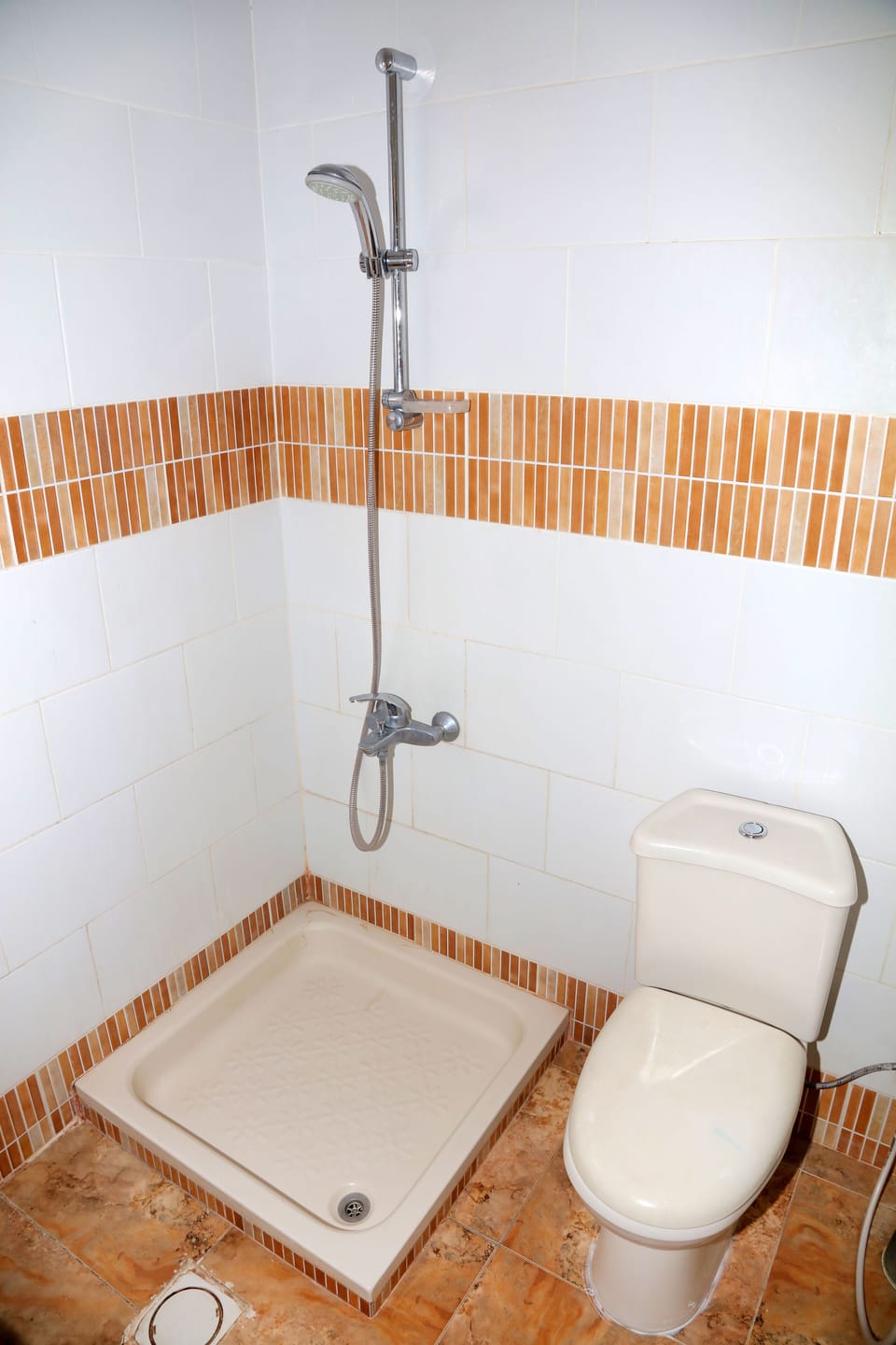 Shower, free toiletries, hair dryer, bidet