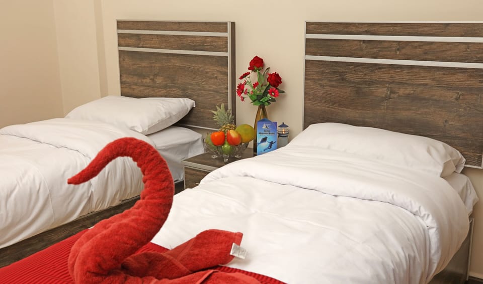 Single Room, Sea View | WiFi (free)