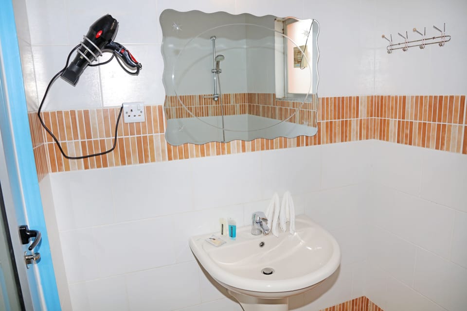 Shower, free toiletries, hair dryer, bidet
