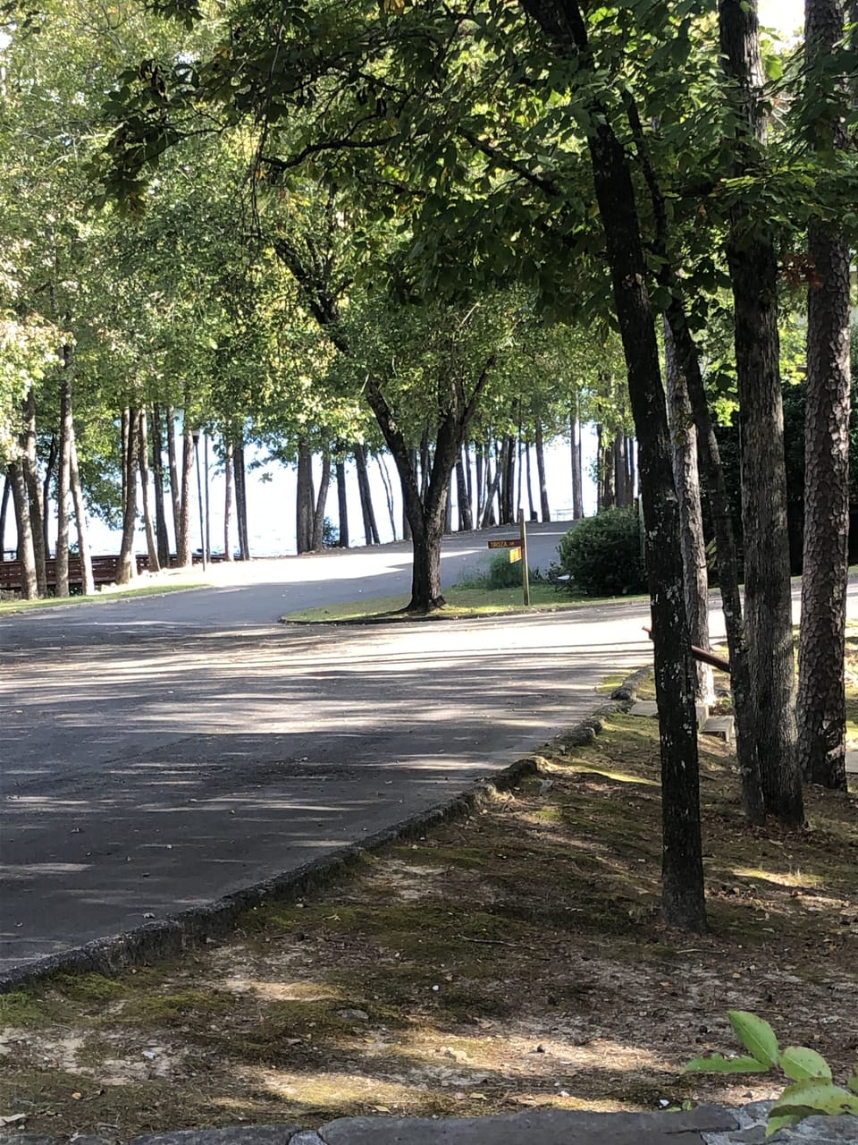 LAKE DESOTO IS ONLY STEPS FROM OUR HOME