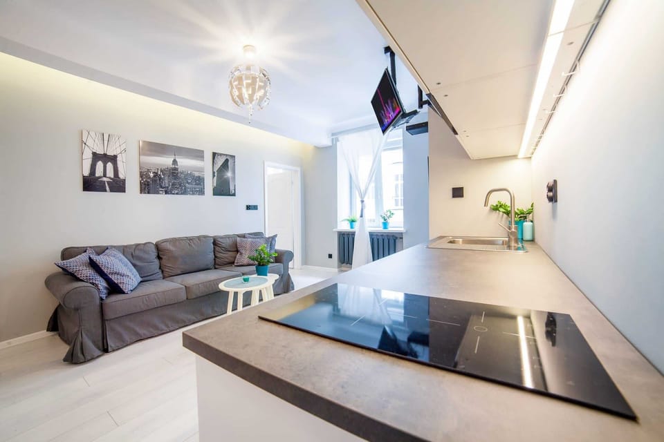 Living room with a fold-out sofa bed, TV and kitchenette.