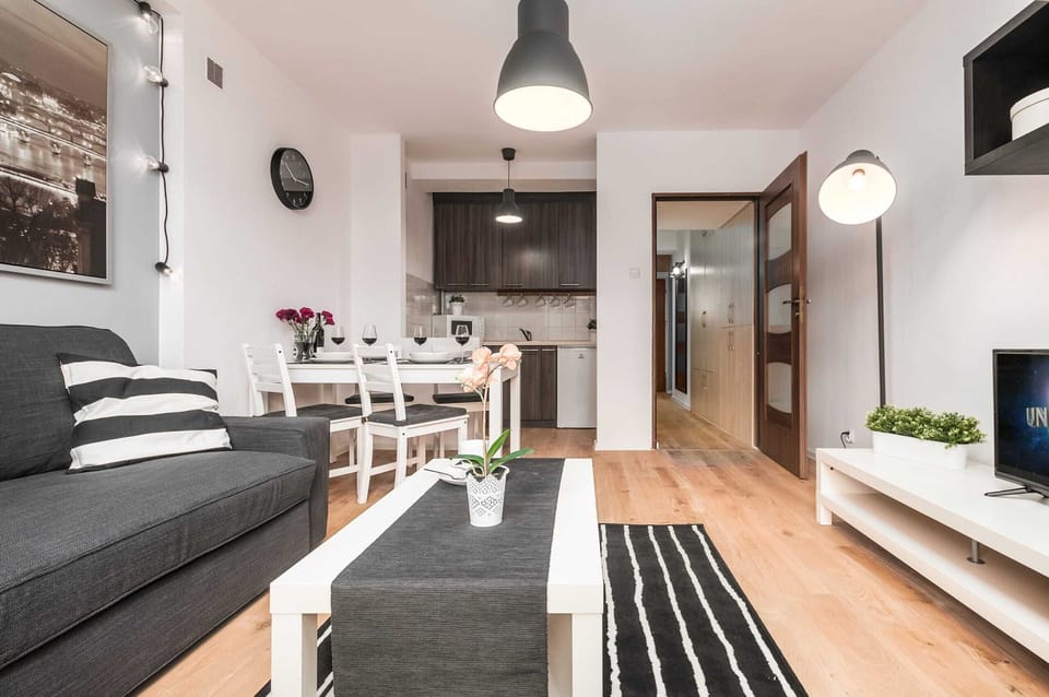 Comfortable living room with a sofa bed and fully equipped kitchenette.