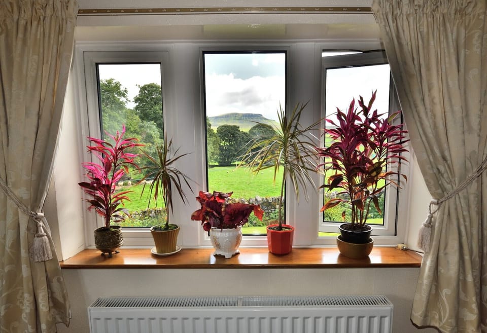 view from dining room 
