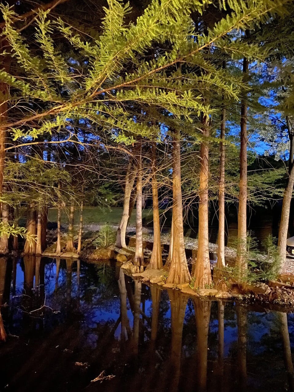 View from the porch overlooking the pond