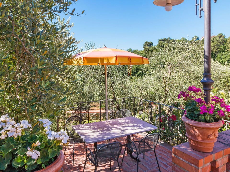 Property, Real Estate, Patio, Backyard, Yard, Flower, Garden, Plant, House, Building