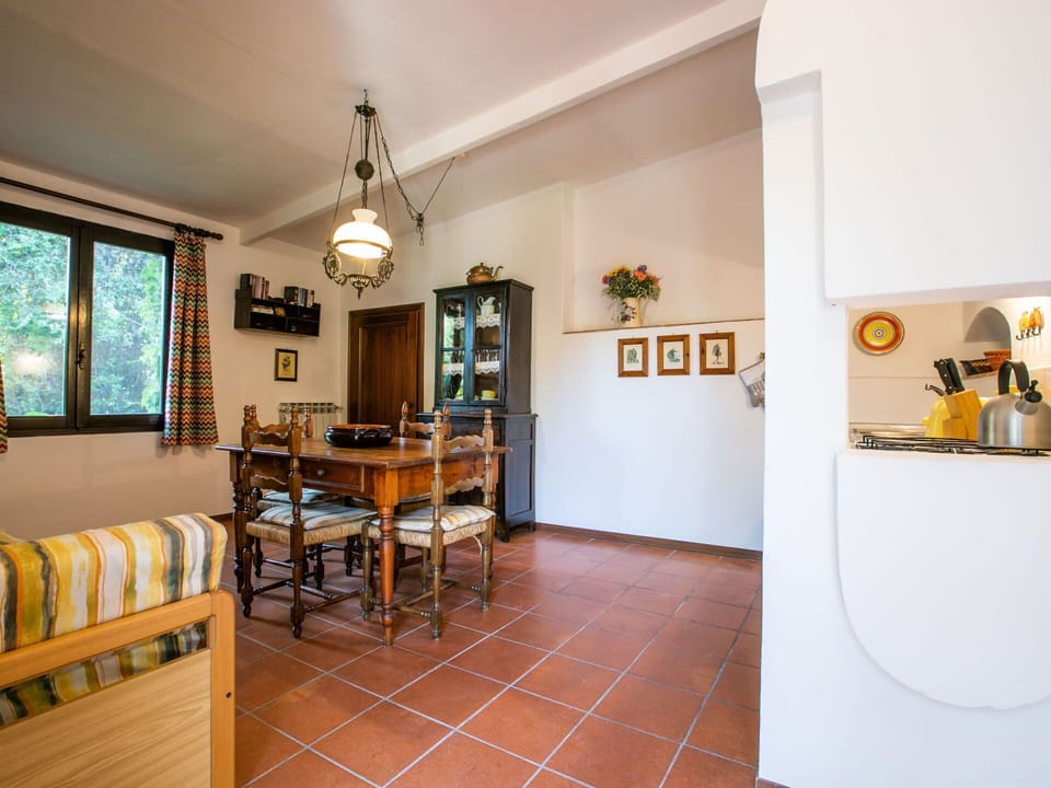 Picture Frame, Houseplant, Window, Wood, Interior Design, Building, Flooring, Wall, Floor, Table