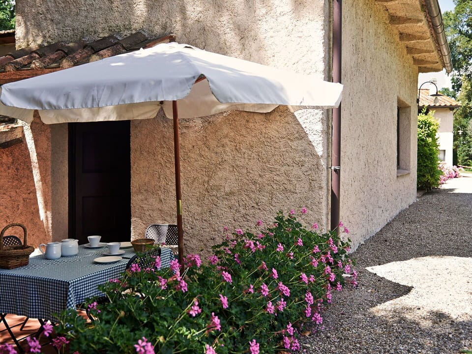 Canopy, Flower, House, Shade, Plant, Spring, Building, Umbrella, Tent, Real Estate