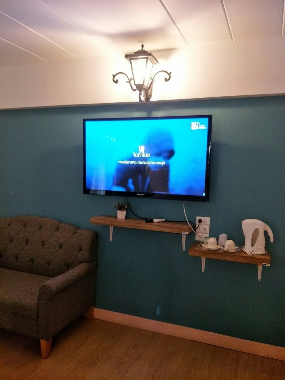 Television