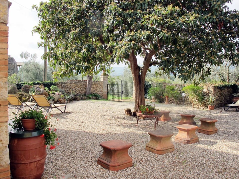 Property, Tree, Real Estate, Courtyard, Garden, Yard, Flowerpot, Building, Backyard, House