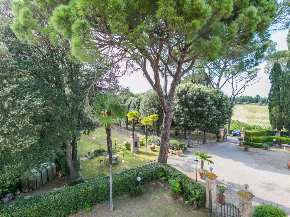 Plant, Property, Plant Community, Tree, Land Lot, Vegetation, Sky, Natural Landscape, Shrub, Public Space