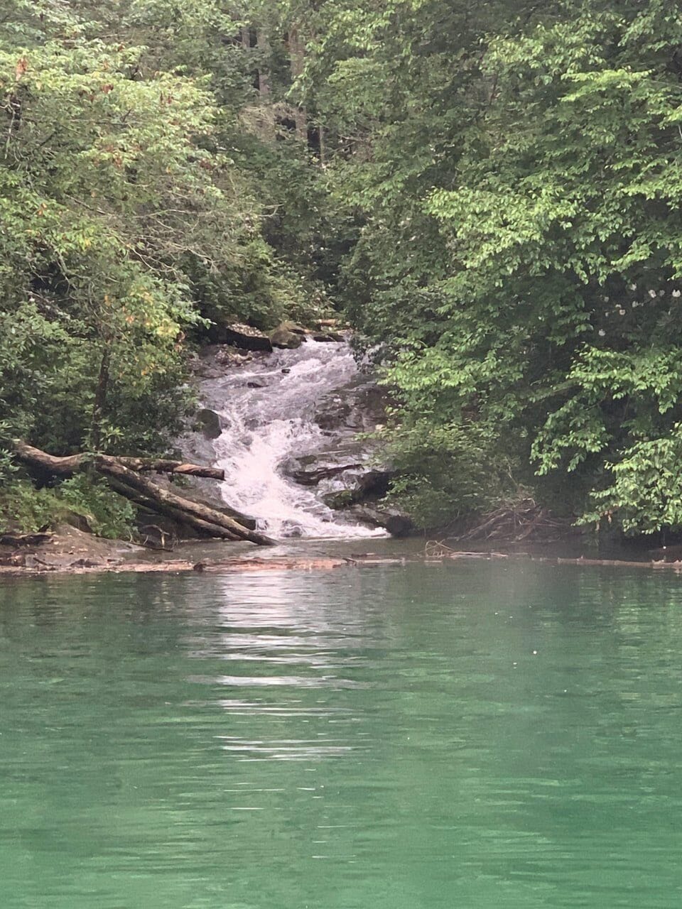 Bear Paw waterfall. Lots of fish in this area and families love to swim!
