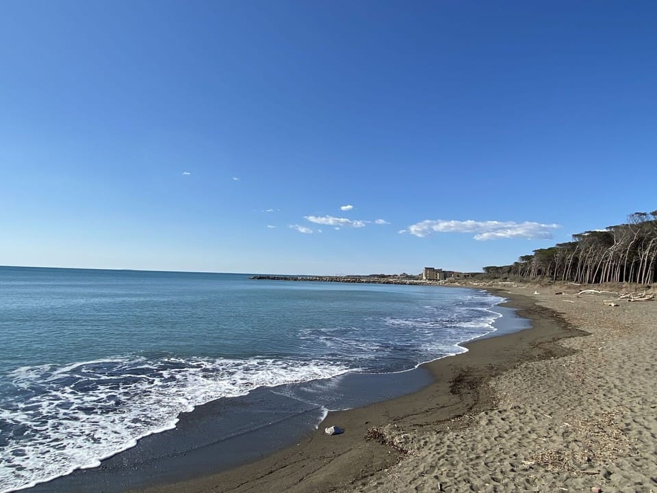 Water, Sky, Cloud, Azure, Beach, Coastal And Oceanic Landforms, Terrain, Natural Landscape, Horizon, Tree