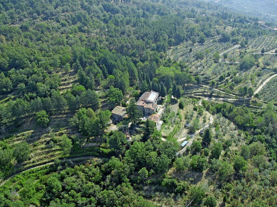 Natural Landscape, Plant, Landscape, Groundcover, Tree, Terrestrial Plant, Mountain, Urban Design, Hill, City
