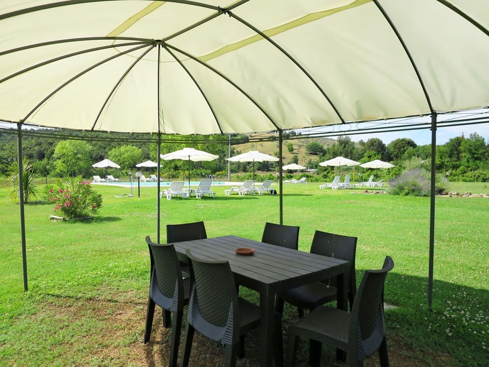 Plant, Property, Furniture, Table, Umbrella, Chair, Shade, Tree, Tent, Outdoor Furniture