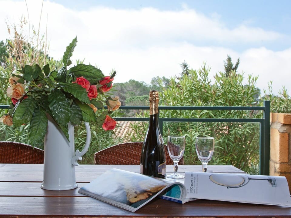 Cloud, Table, Property, Sky, Tableware, Flower, Furniture, Bottle, Plant, Drinkware