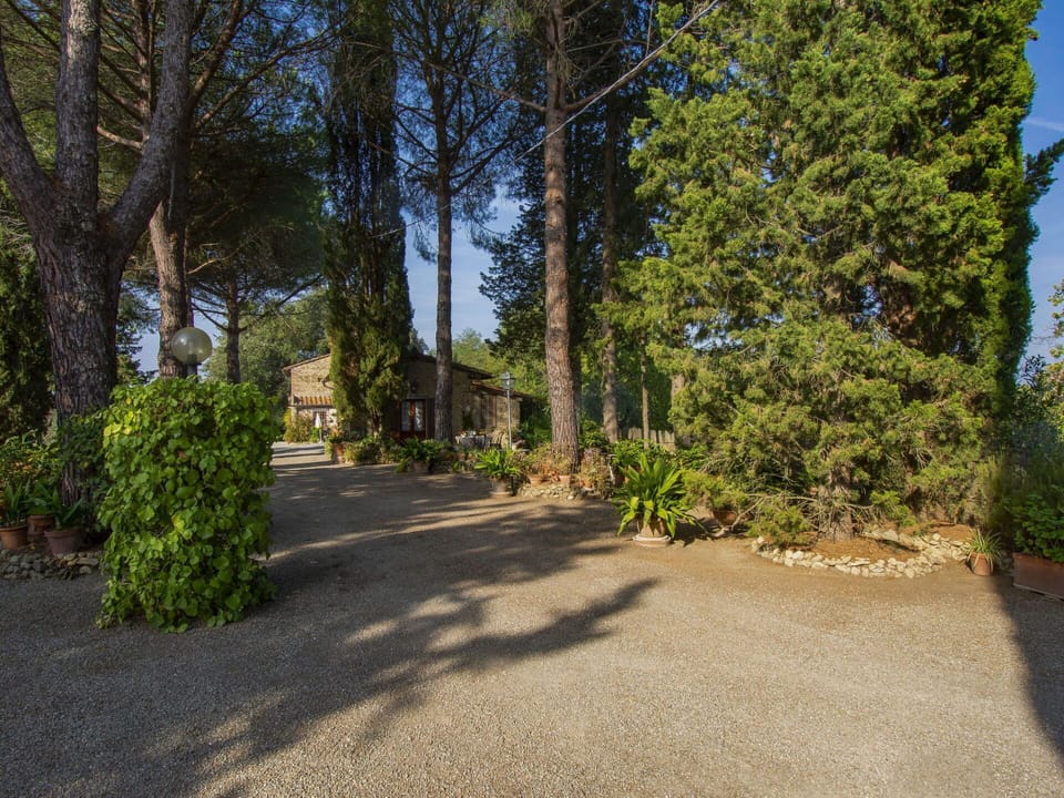 Plant, Road Surface, Asphalt, Tree, Land Lot, Natural Landscape, Shade, Sky, Evergreen, Thoroughfare