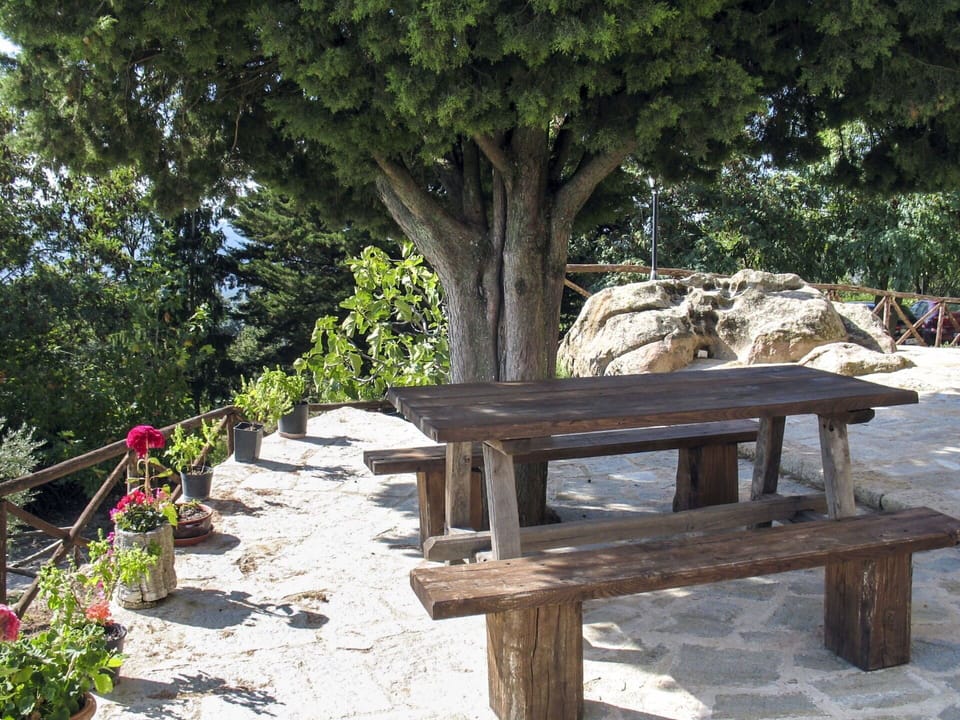 Bench, Furniture, Table, Tree, Outdoor Furniture, Outdoor Bench, Botany, Outdoor Table, Spring, Plant