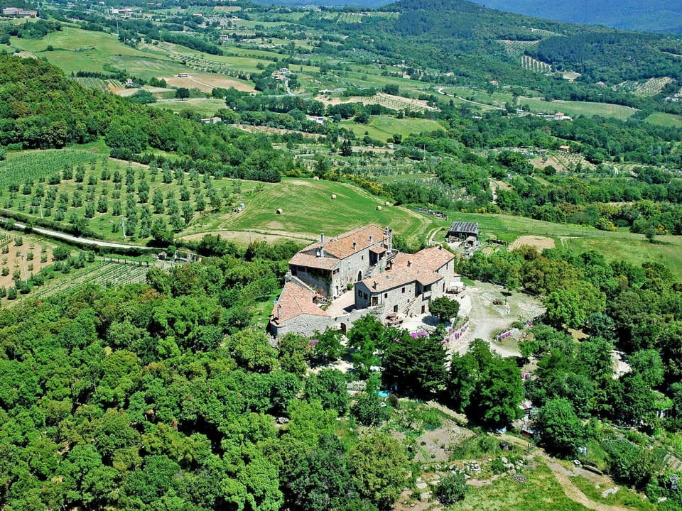 Plant, Building, Plant Community, Green, Natural Landscape, Natural Environment, Highland, Land Lot, Vegetation, Tree