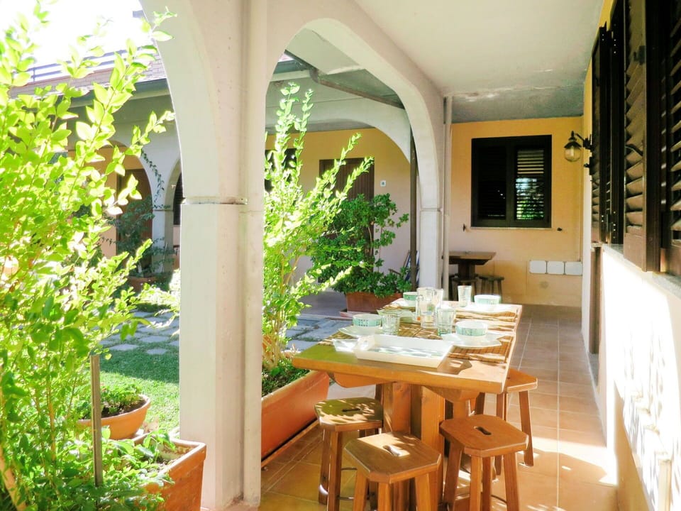 Plant, Table, Property, Furniture, Building, Interior Design, Houseplant, Yellow, Wood, Chair