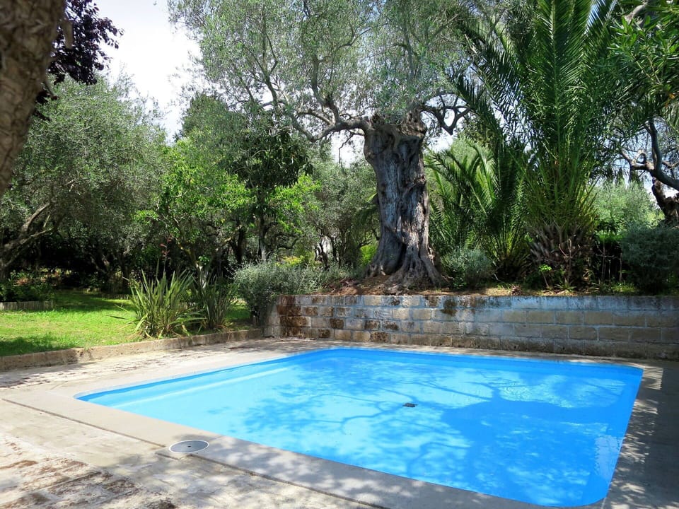 Water, Plant, Property, Nature, Tree, Shade, Vegetation, Grass, Natural Landscape, Arecales
