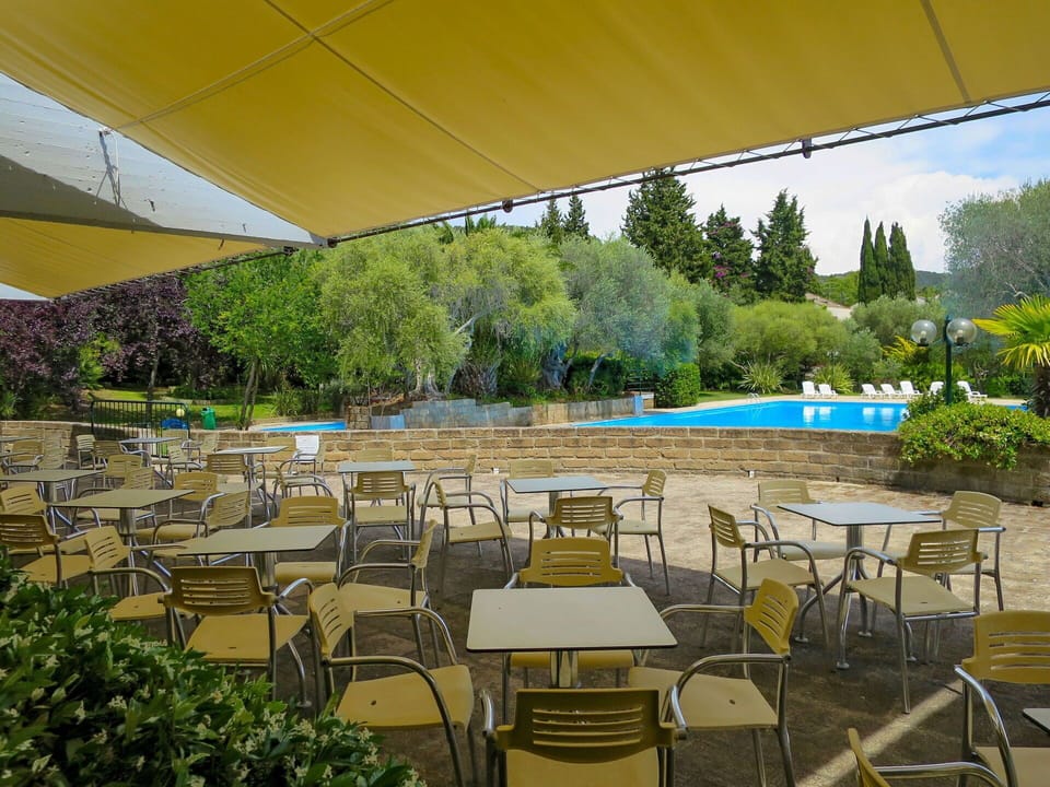 Plant, Table, Property, Furniture, Shade, Chair, Outdoor Furniture, Swimming Pool, Outdoor Table, Tree