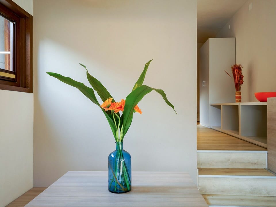 Plant, Flower, Houseplant, Window, Flowerpot, Vase, Orange, Building, Rectangle, Terrestrial Plant