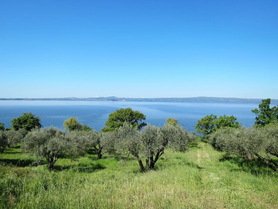 Natural Landscape, Nature, Vegetation, Sky, Blue, Natural Environment, Sea, Tree, Grass, Nature Reserve