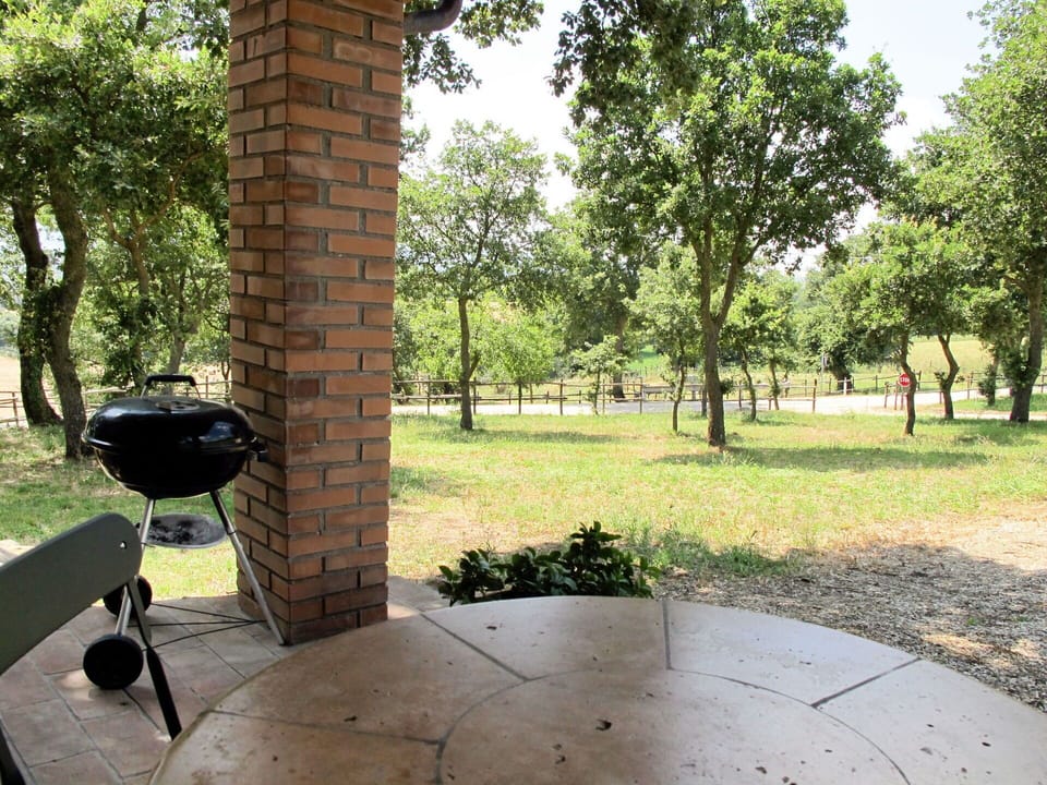 Property, Iron, Tree, Architecture, Grass, Real Estate, Home, House, Room, Metal