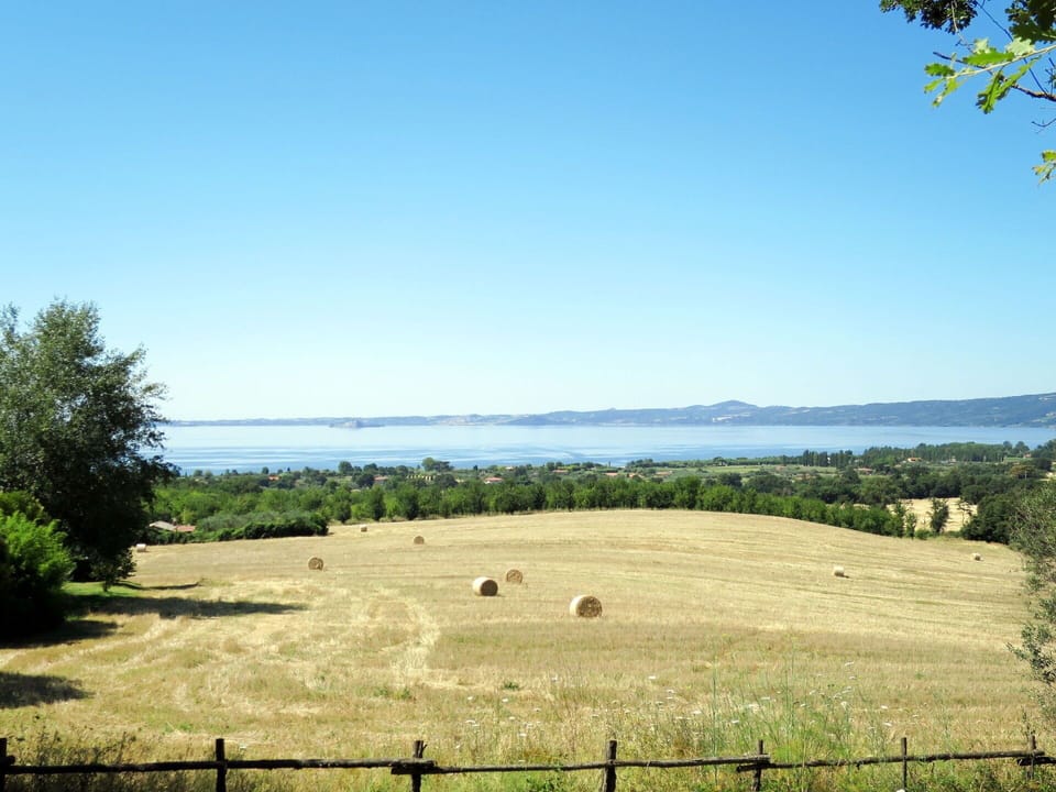 Sky, Pasture, Land Lot, Natural Landscape, Grass, Natural Environment, Tree, Field, Grassland, Hill