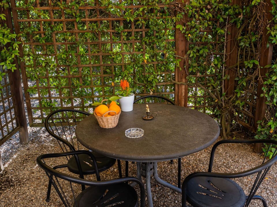 Table, Furniture, Property, Plant, Chair, Outdoor Table, Botany, Tableware, Outdoor Furniture, Wood