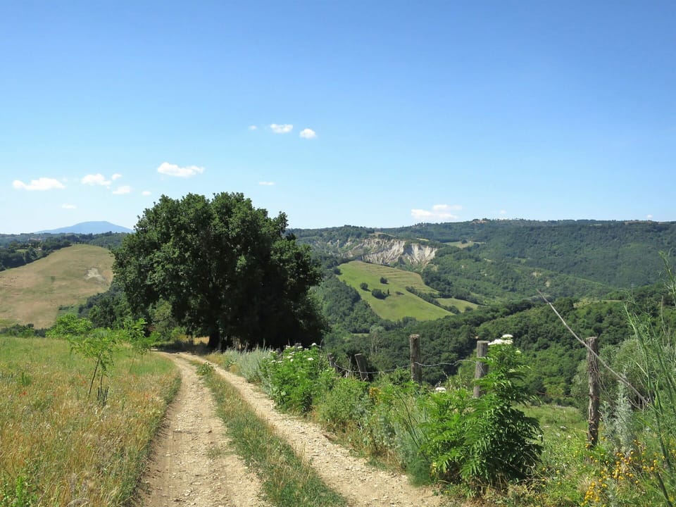 Vegetation, Natural Landscape, Hill, Road, Natural Environment, Trail, Nature Reserve, Wilderness, Rural Area