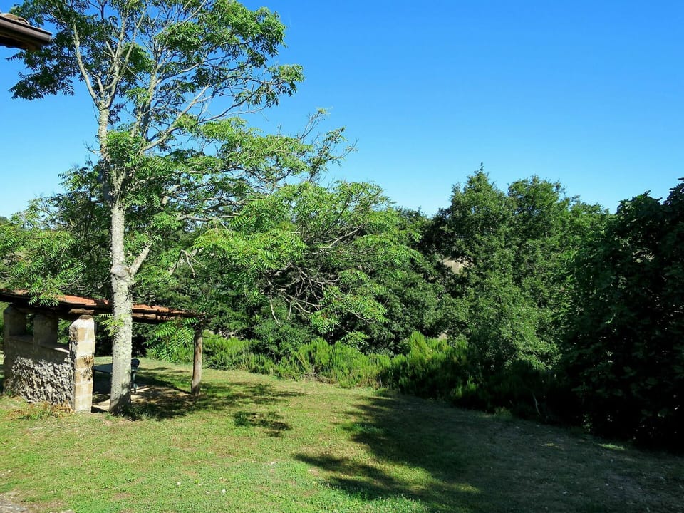 Tree, Natural Landscape, Vegetation, Nature Reserve, Natural Environment, Biome, Woody Plant, Plant, Grass, Botany