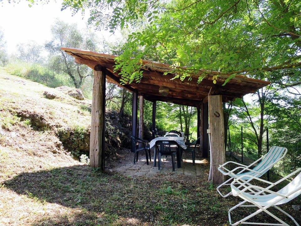 Tree, Table, Botany, Pavilion, House, Furniture, Backyard, Yard, Leisure, Roof