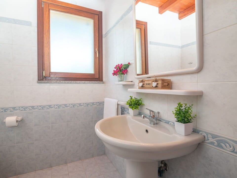 Mirror, Plant, Plumbing Fixture, Tap, Property, Bathroom Sink, Bathroom, Sink, Building, Interior Design