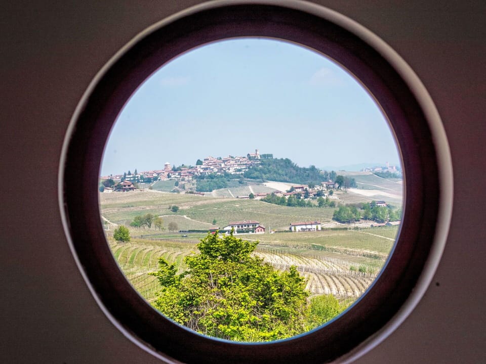 Sky, Property, Plant, Sunlight, Landscape, Horizon, Tree, Tints And Shades, Window