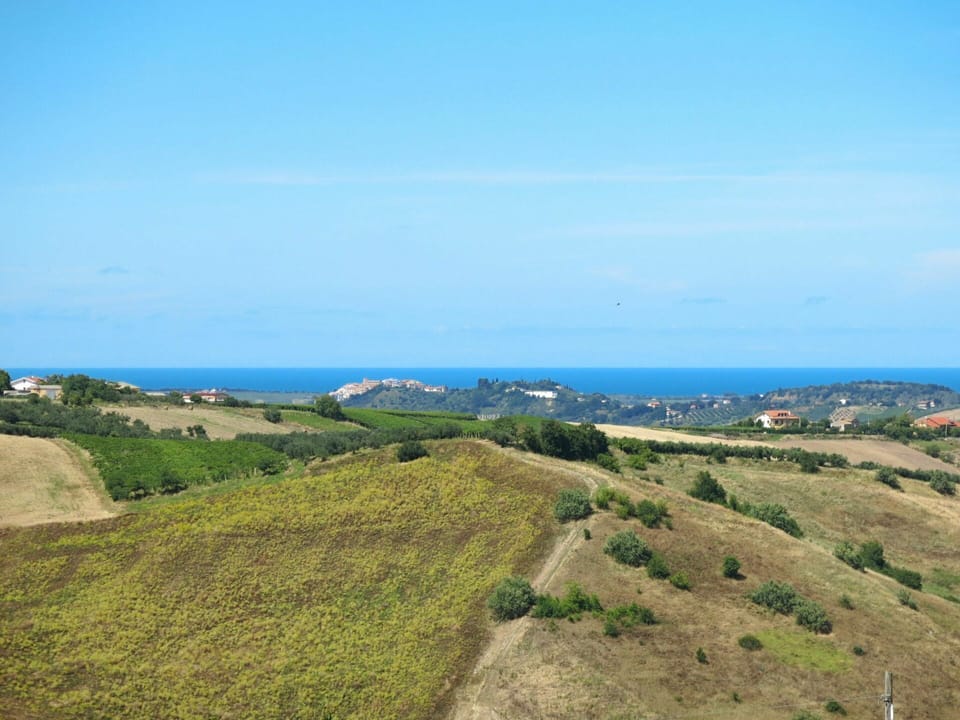 Sky, Plant, Plant Community, Natural Landscape, Land Lot, Coastal And Oceanic Landforms, Cloud, Highland, Slope, Terrain