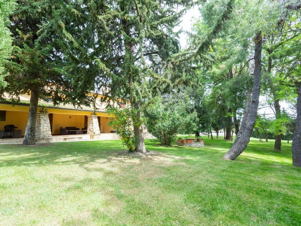Plant, Building, Tree, Shade, Window, Land Lot, Grass, Leisure, Landscape, Tints And Shades
