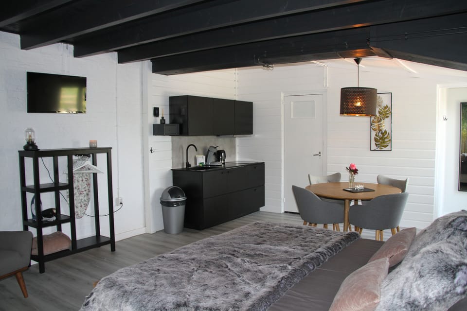 Studio | Living area | 60-inch flat-screen TV with digital channels, TV